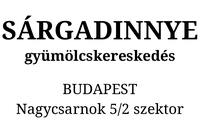 Printer 53